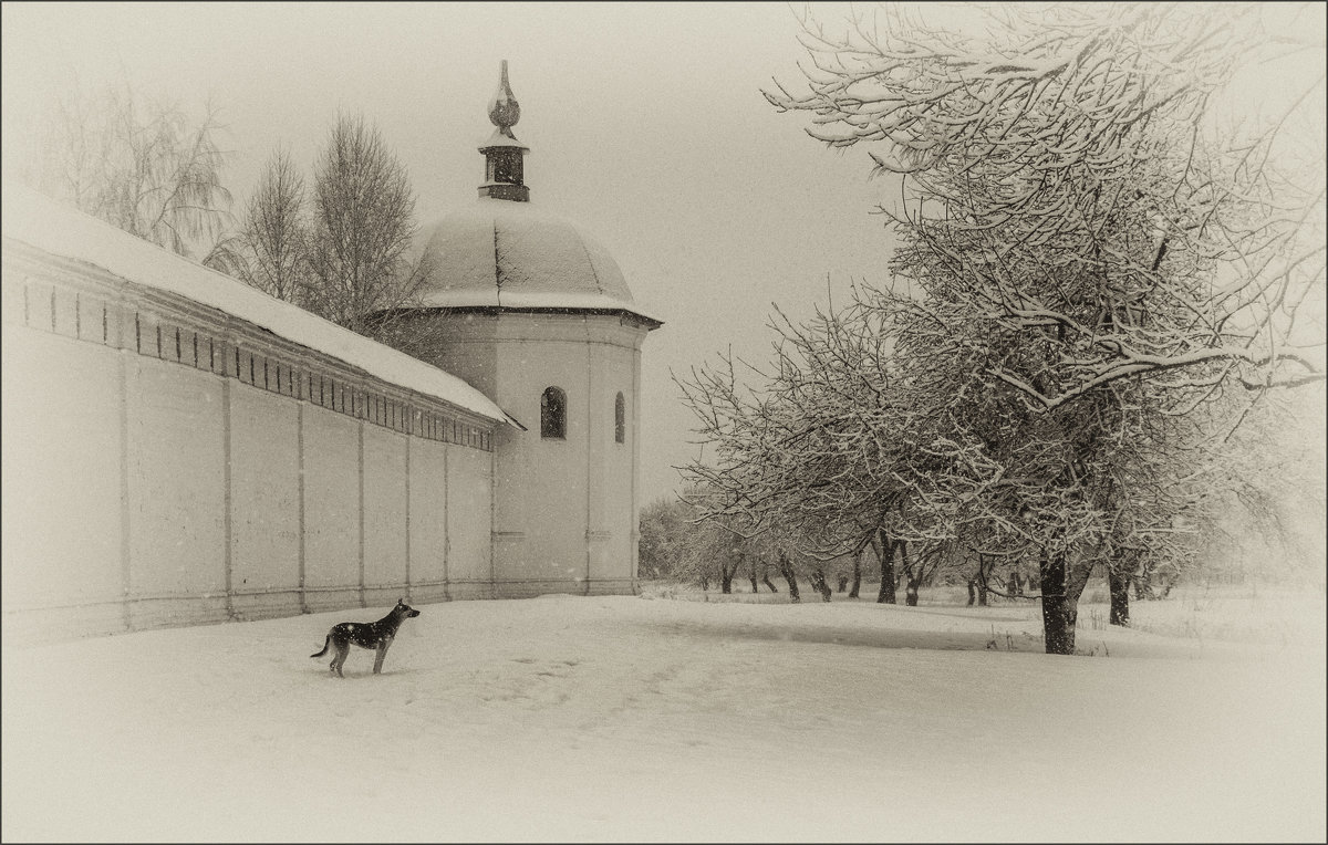 Свенский монастырь - Лариса Березуцкая