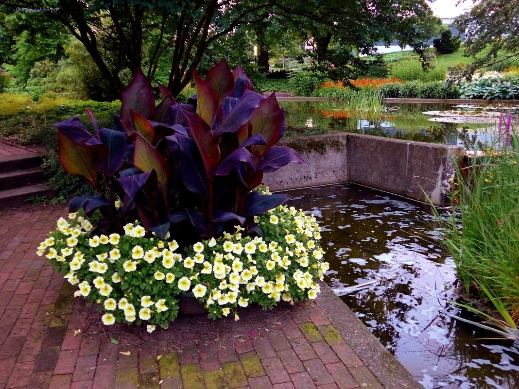 Planten un Blomen. Hamburg - Nina Yudicheva