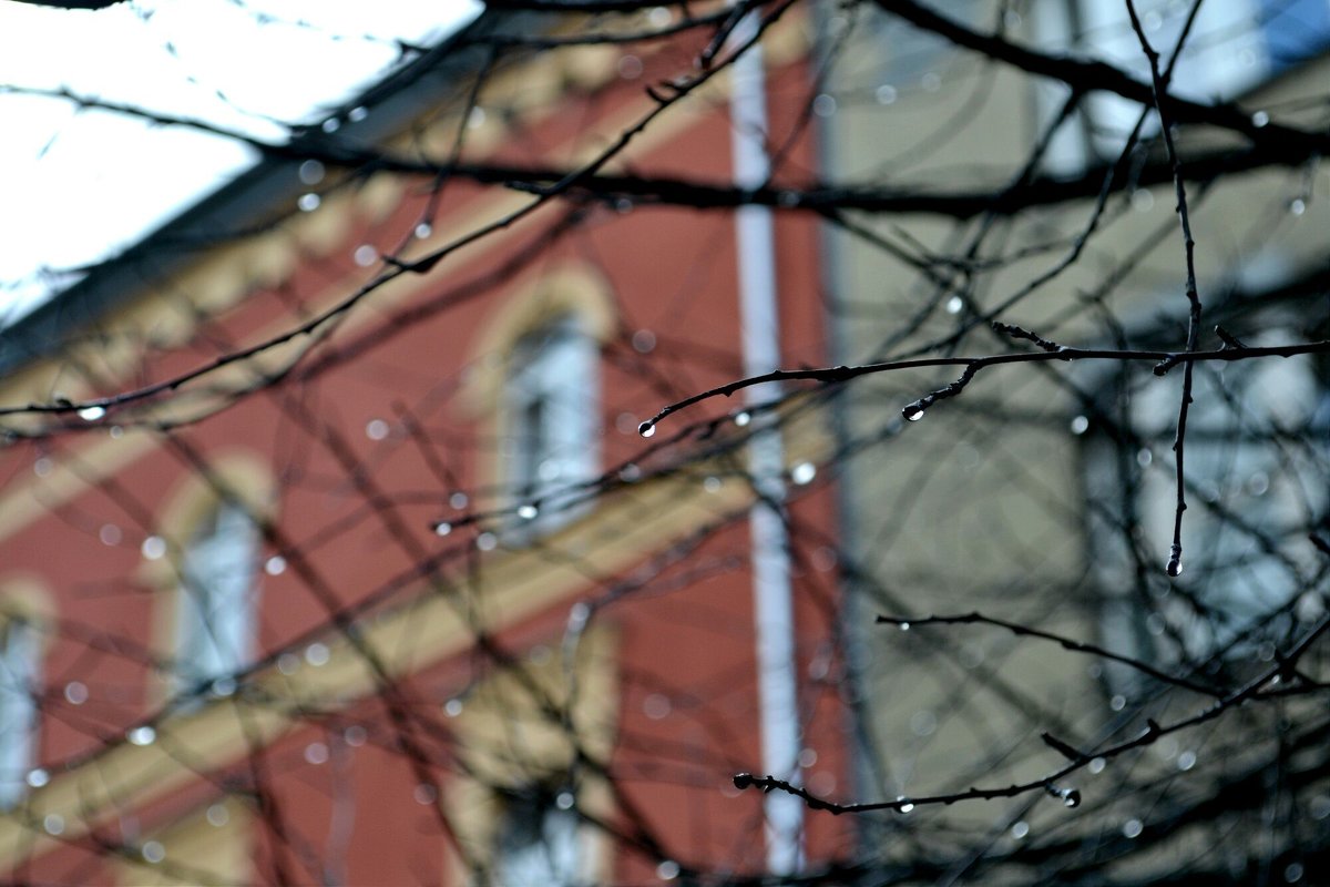 Дождь в Кракове - Мария Тишина