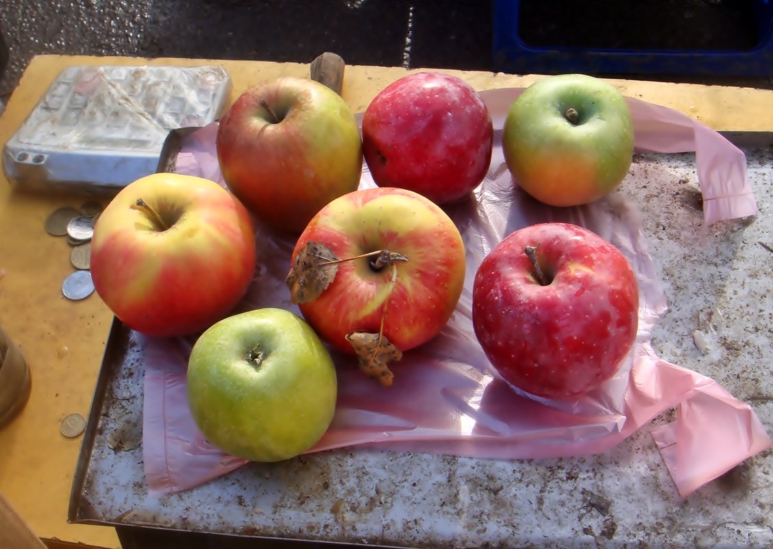 Эти яблочки я купила в нашем дворе - Нина Корешкова