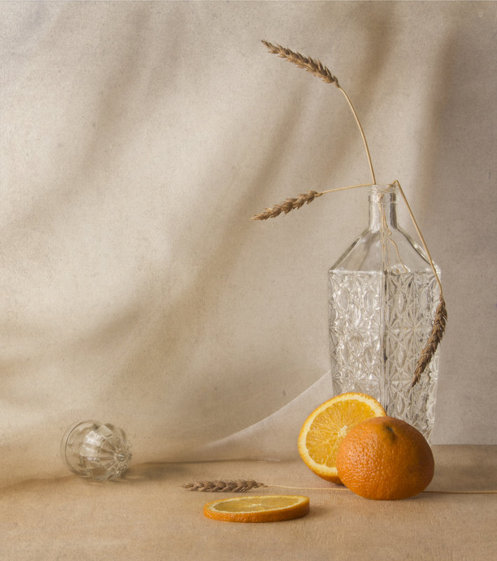 апельсин и колоски - Светлана Горбачёва