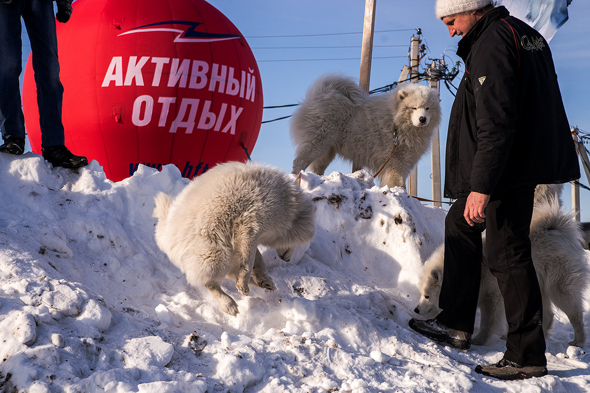 4.Фотосюжет. Активное семейство. И спляшет - Аркадий Пазовский