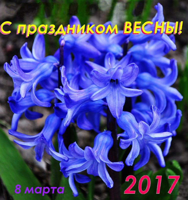 С Праздником Весны! - Владимир Клюев