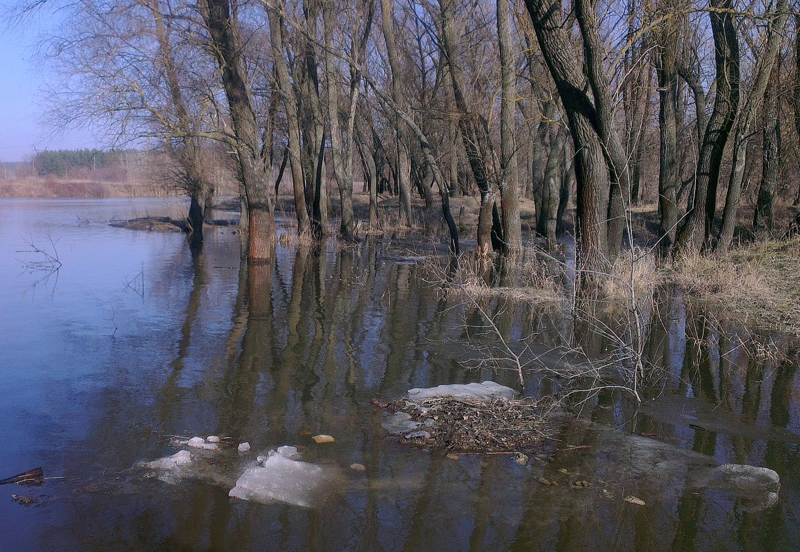 Весна. Разлилась речка широко, заливая деревА. - Валентина ツ ღ✿ღ