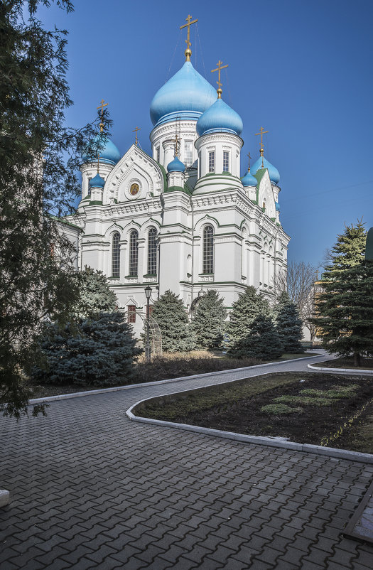 Николо-Перервинский монастырь - Борис Гольдберг