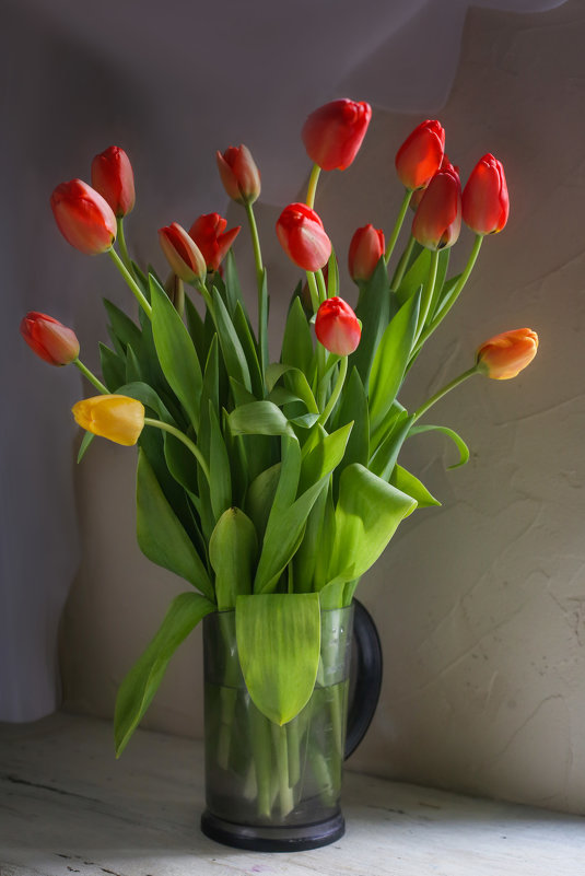 тюльпаны - Женечка Зяленая