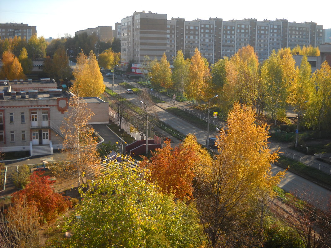 осень - Александр Попков