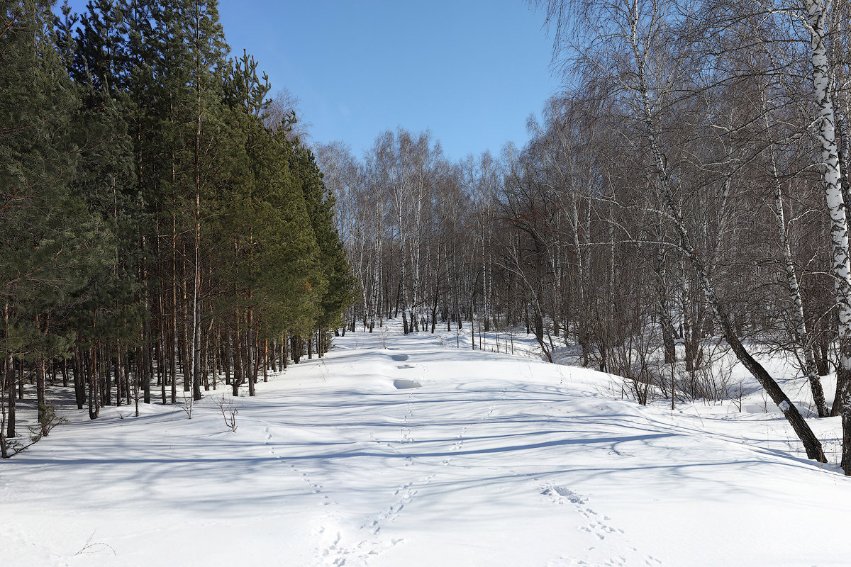 * - Александр Петушков