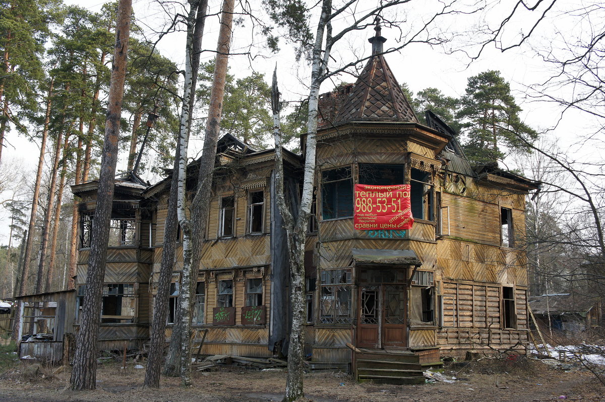 дом змигродского сестрорецк (198) фото