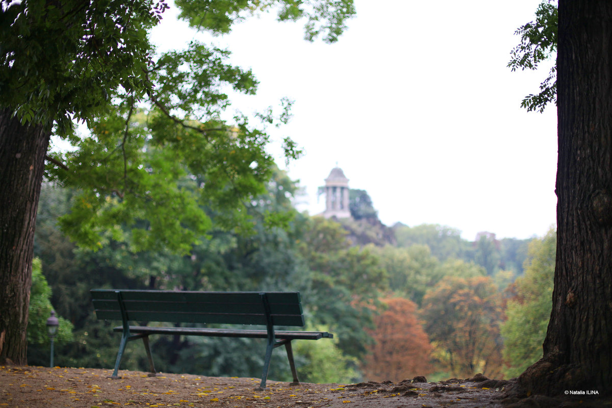 Скамейка в парке Бют-Шомон - Фотограф в Париже, Франции Наталья Ильина