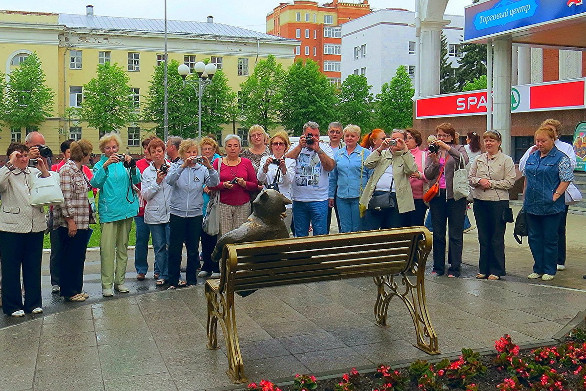 в фокусе Ёшкин Кот - aleksandr Крылов