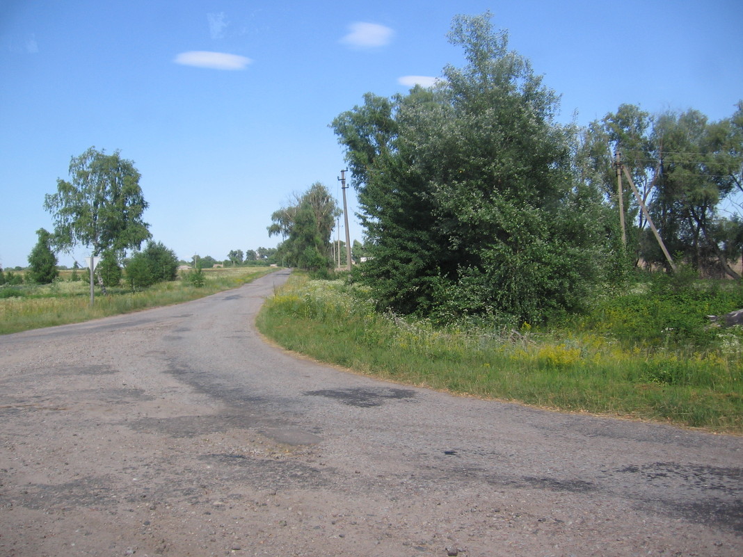 Поворот - Светлана Арт 