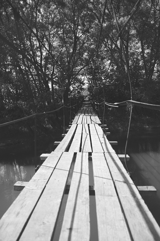 Мост в никуда - Nikita Sychev