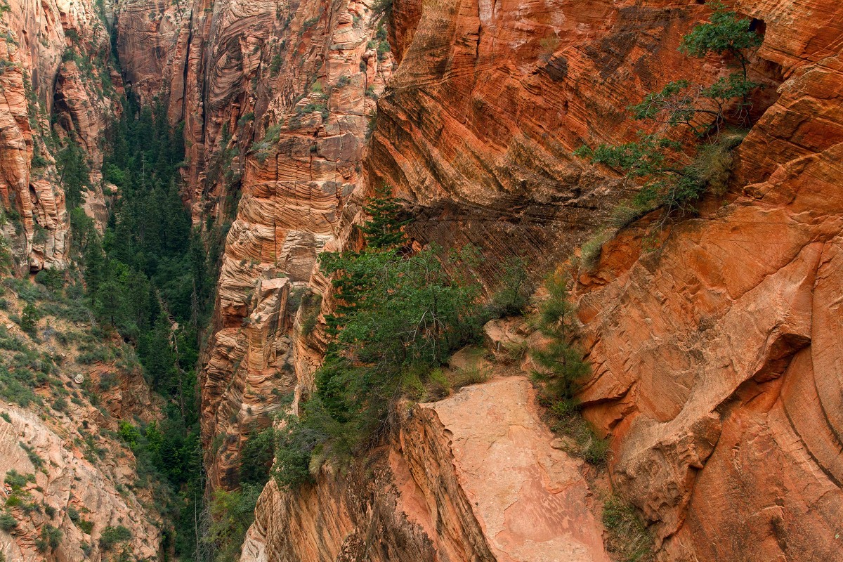 Zion Canyon - Евгения Лысцова