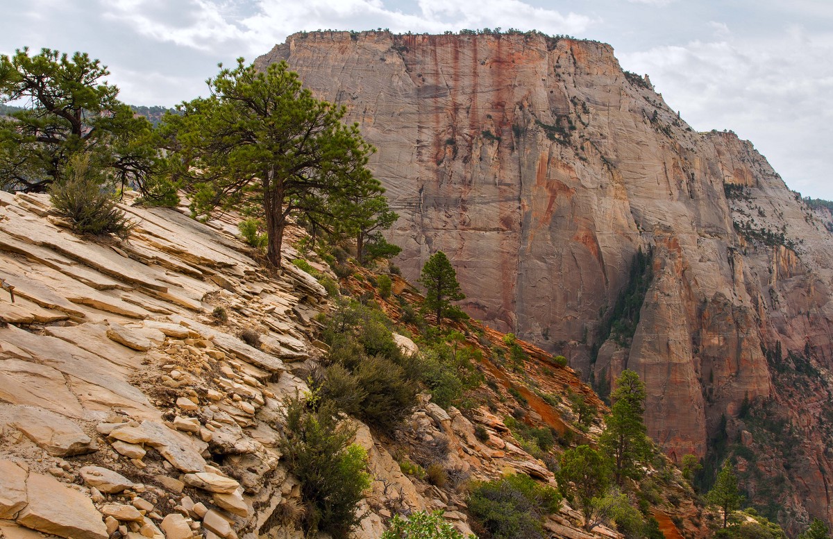 Summit of Angels Landing - Евгения Лысцова