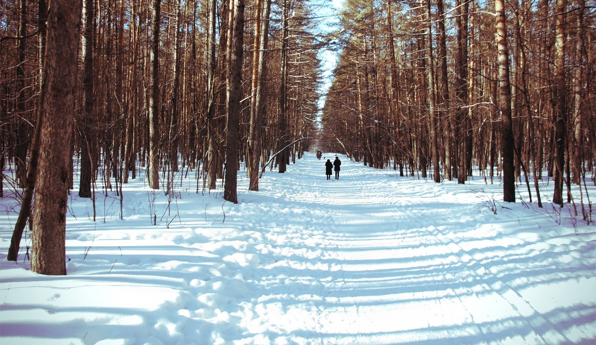 #пейзаж - Алина Гаф