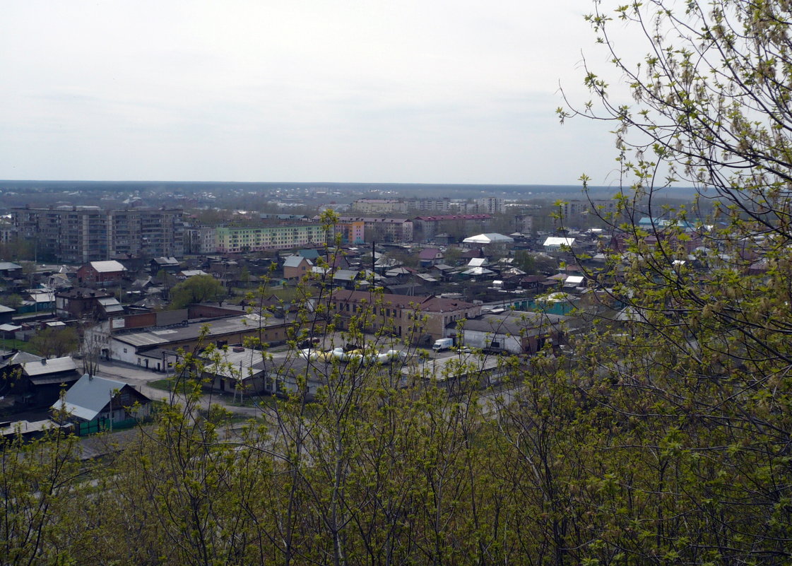 Бийск - Олег Афанасьевич Сергеев