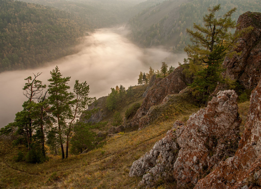 В долине с туманом - Сергей Герасимов
