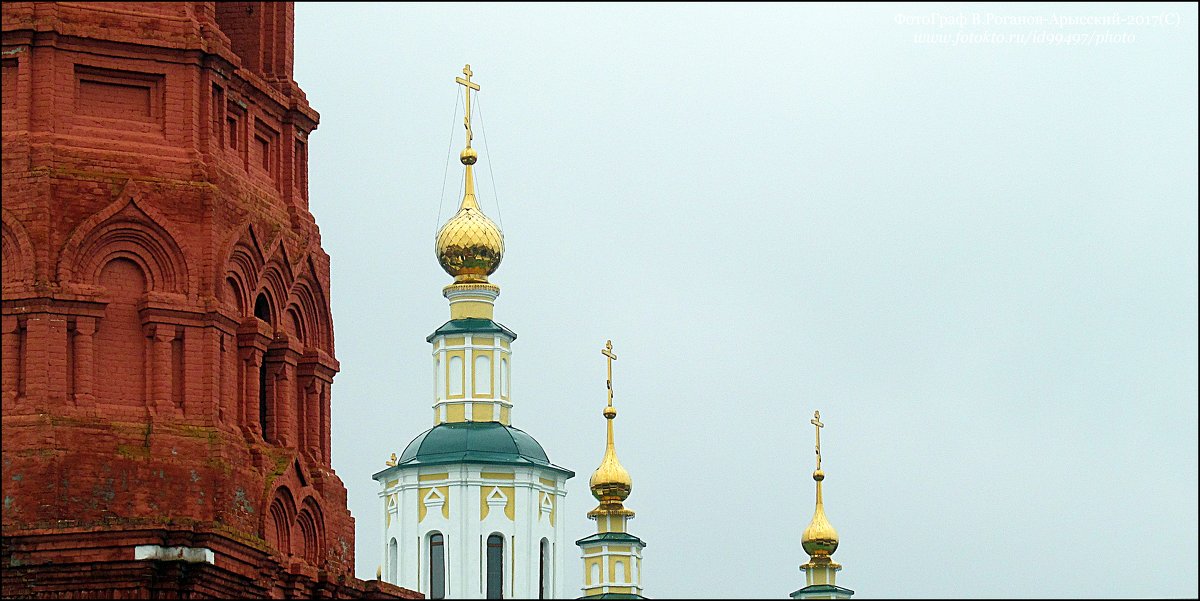 ВЛАДИМИР  ПРОВИНЦИАЛЬНЫЙ - Валерий Викторович РОГАНОВ-АРЫССКИЙ