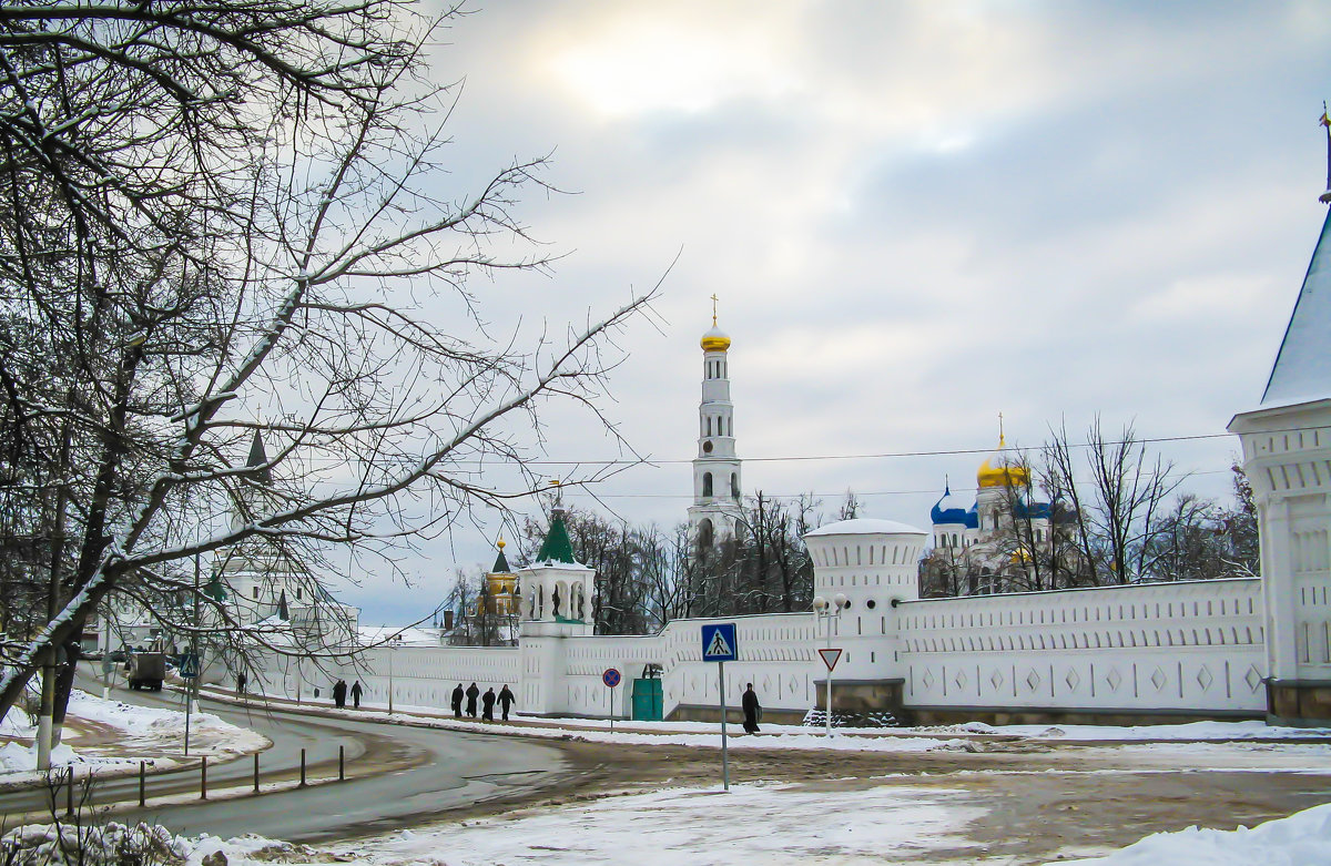 Николо-Угрешский монастырь. - Владимир Безбородов