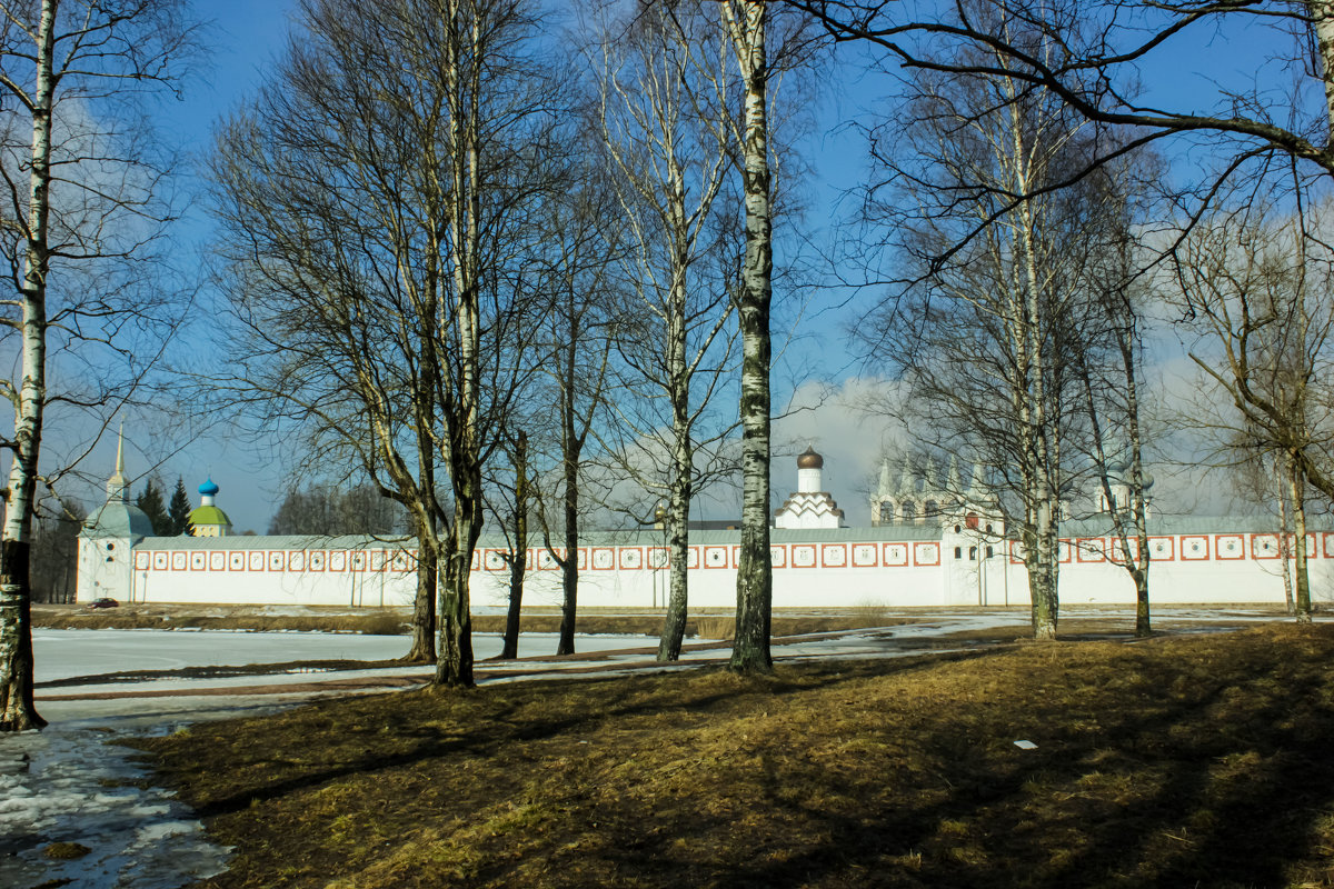 весна  вид на монастырь - Сергей Кочнев