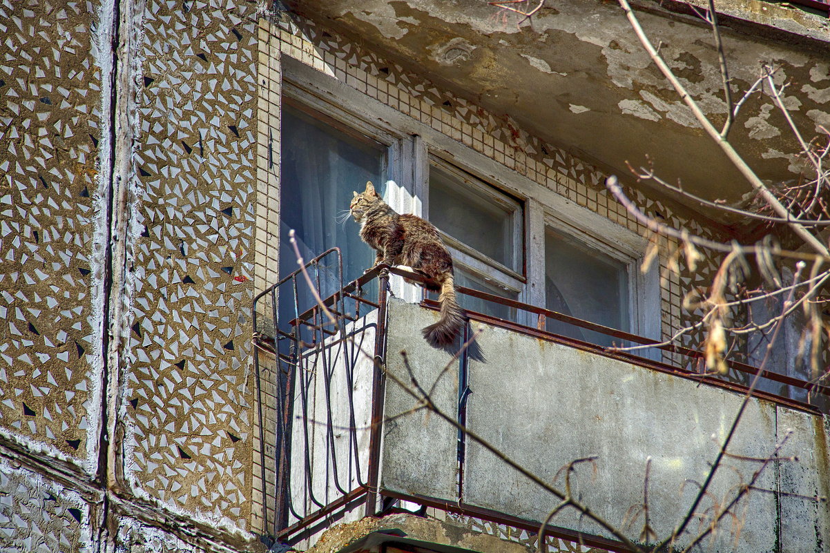 Дивлюсь я на небо та й думку гадаю ... - Анатолий. Chesnavik.