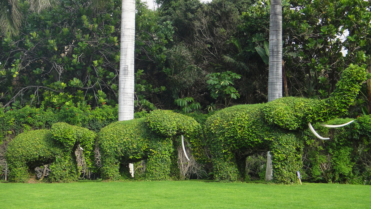 На входе в «Лоро парк» посетителей встречают три зеленых слона - Елена Павлова (Смолова)