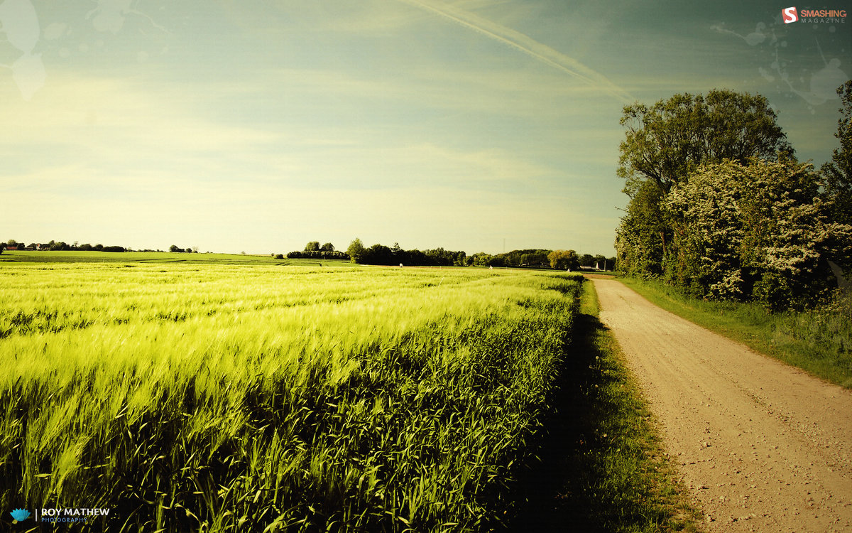 ~ road in field ~ - ~ Backstage ~ N.