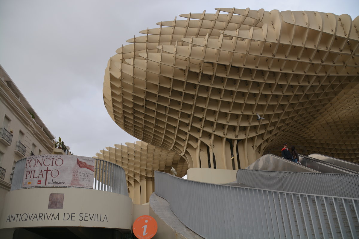 Sevilla mushroom - Андрей Герасимов