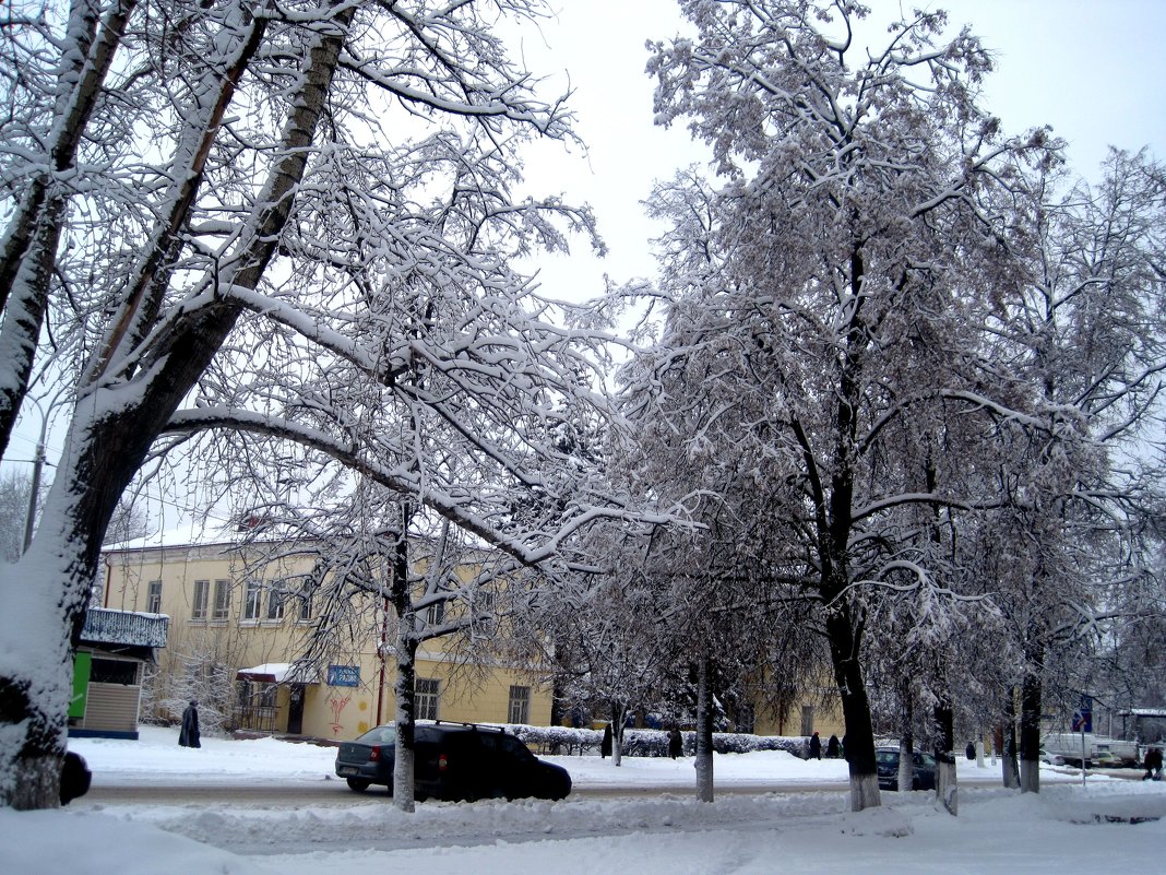 Зимний город - Елена Семигина