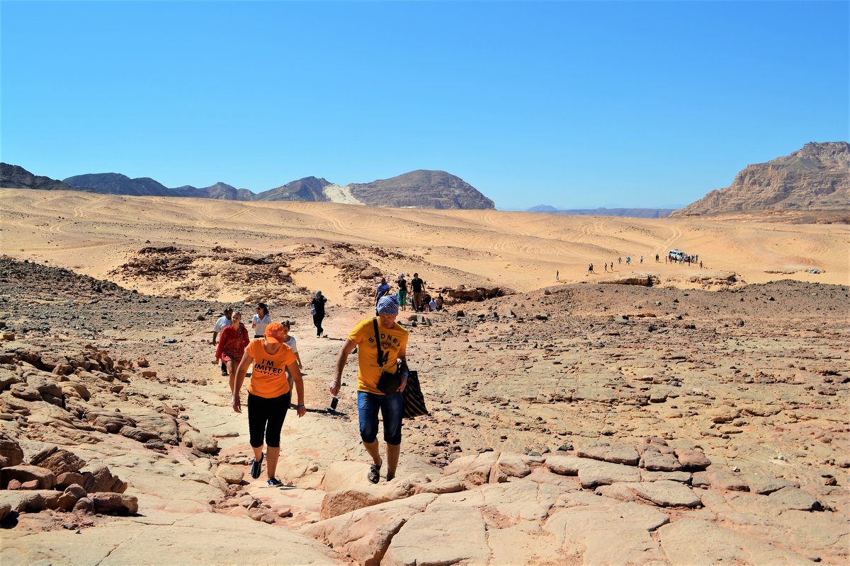 Дорога в Цветной каньон — Египет - Клара 