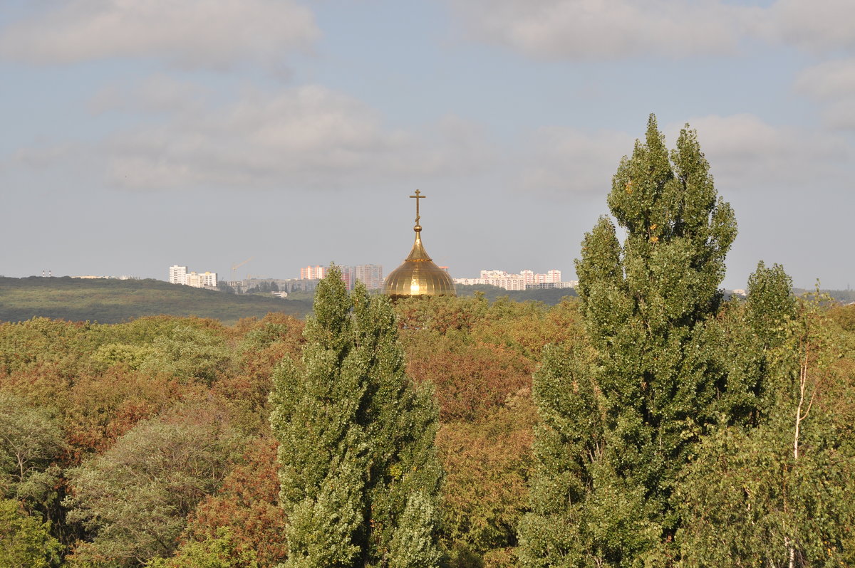 купол Успенской церкви - Владимир 