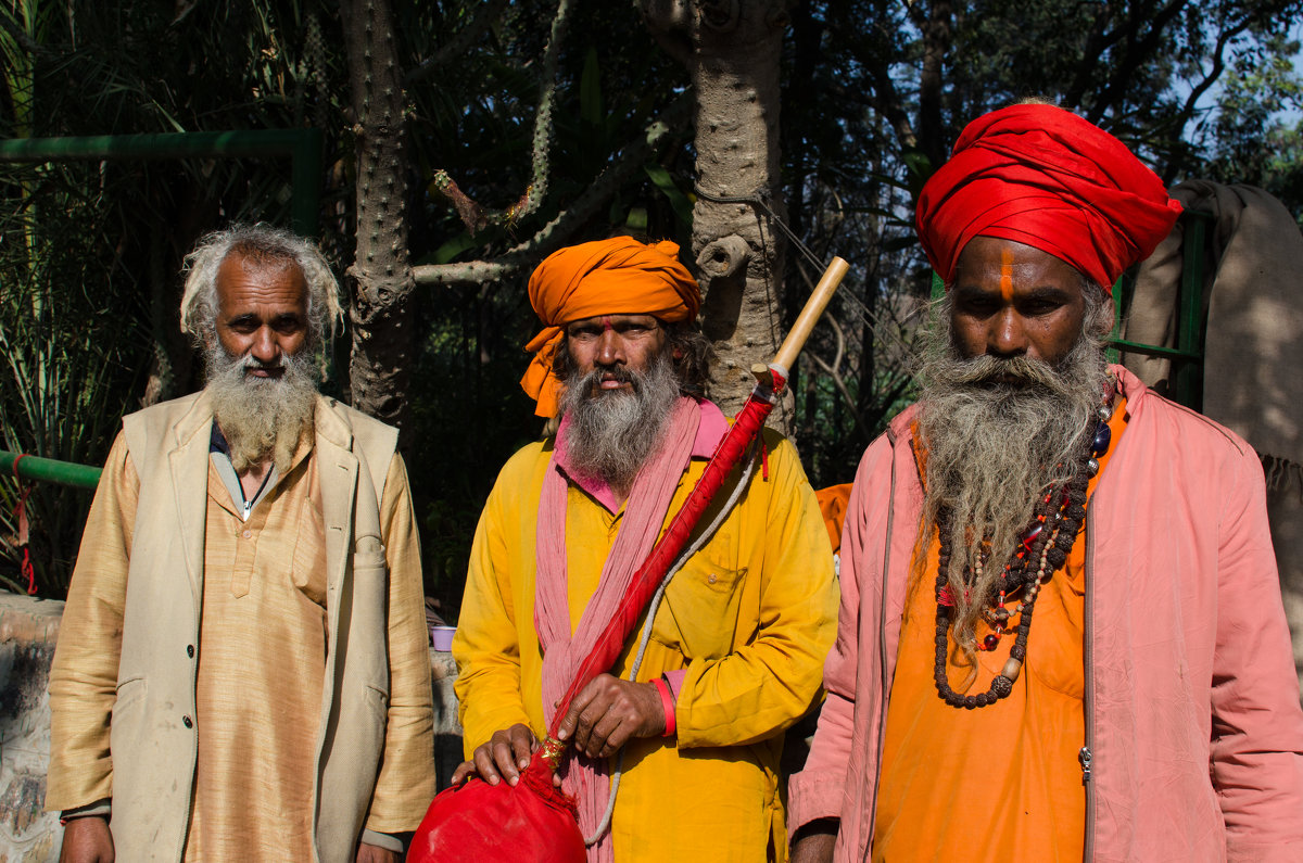 variegated colors - The heirs of Old Delhi Rain