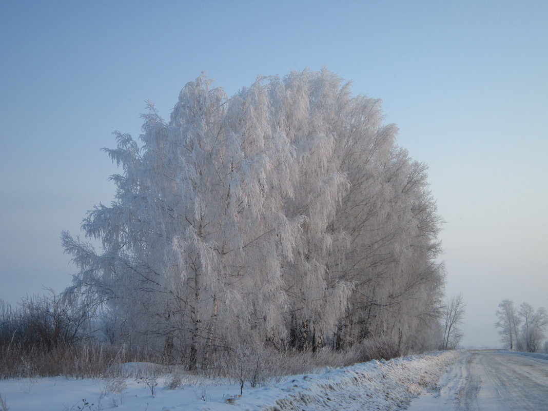 . - александр ратов