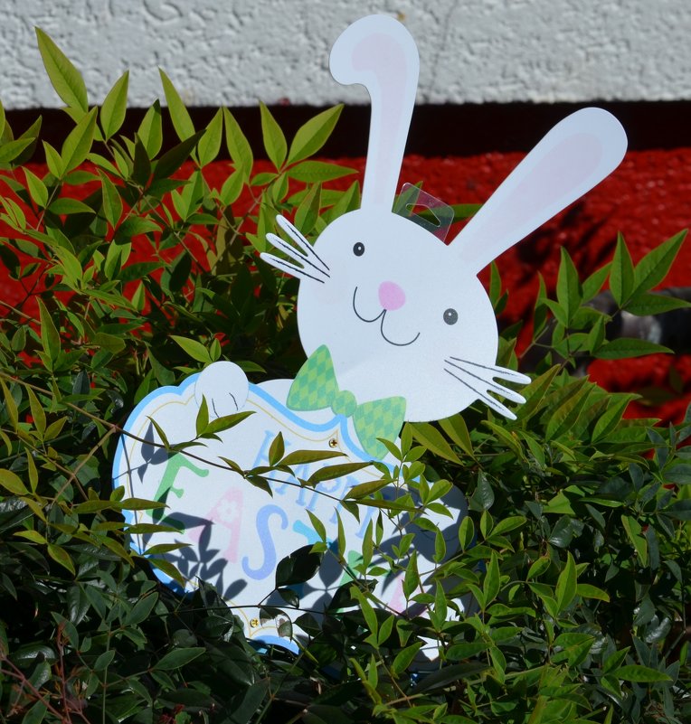 Пасхальный кролик - Анфиса 