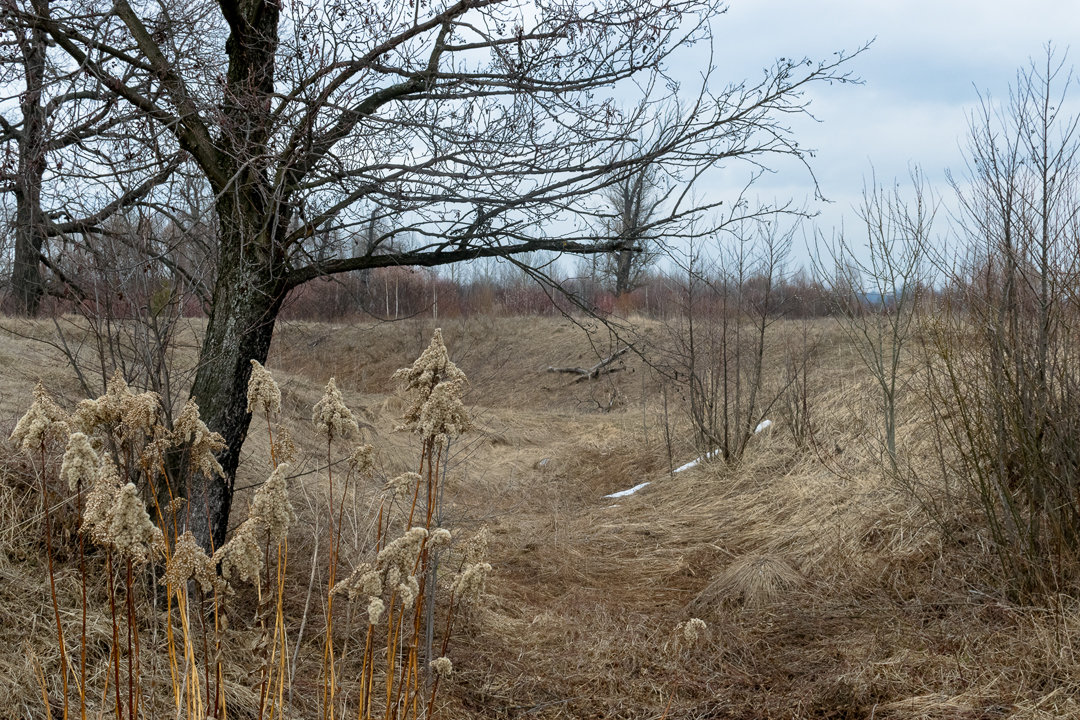 весна за городом - Марина Ломина