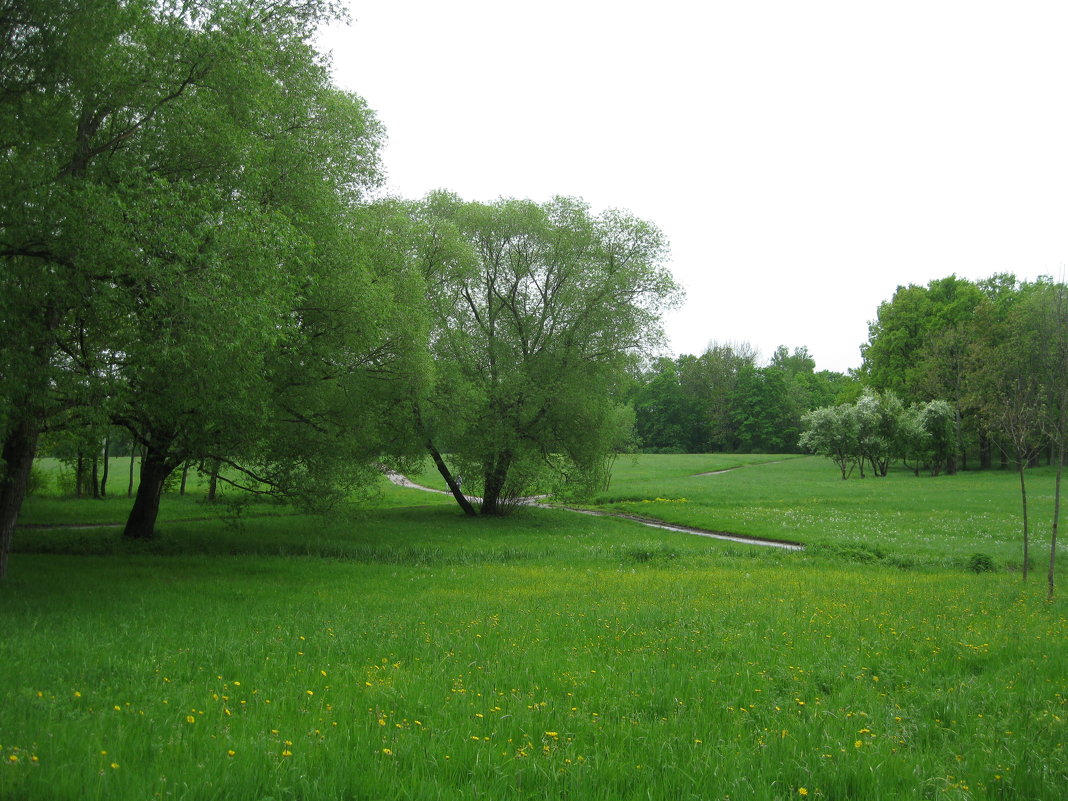 Весна в Царском Селе. - Лариса (Phinikia) Двойникова