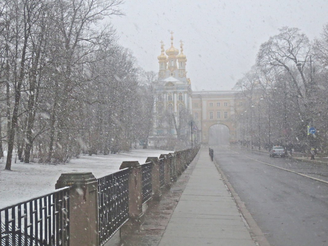 снежный день в Царском - Елена 