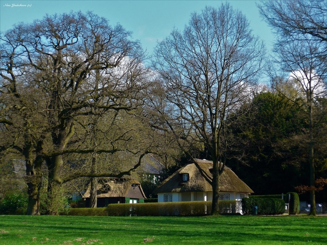 Jenischpark Hamburg - Nina Yudicheva