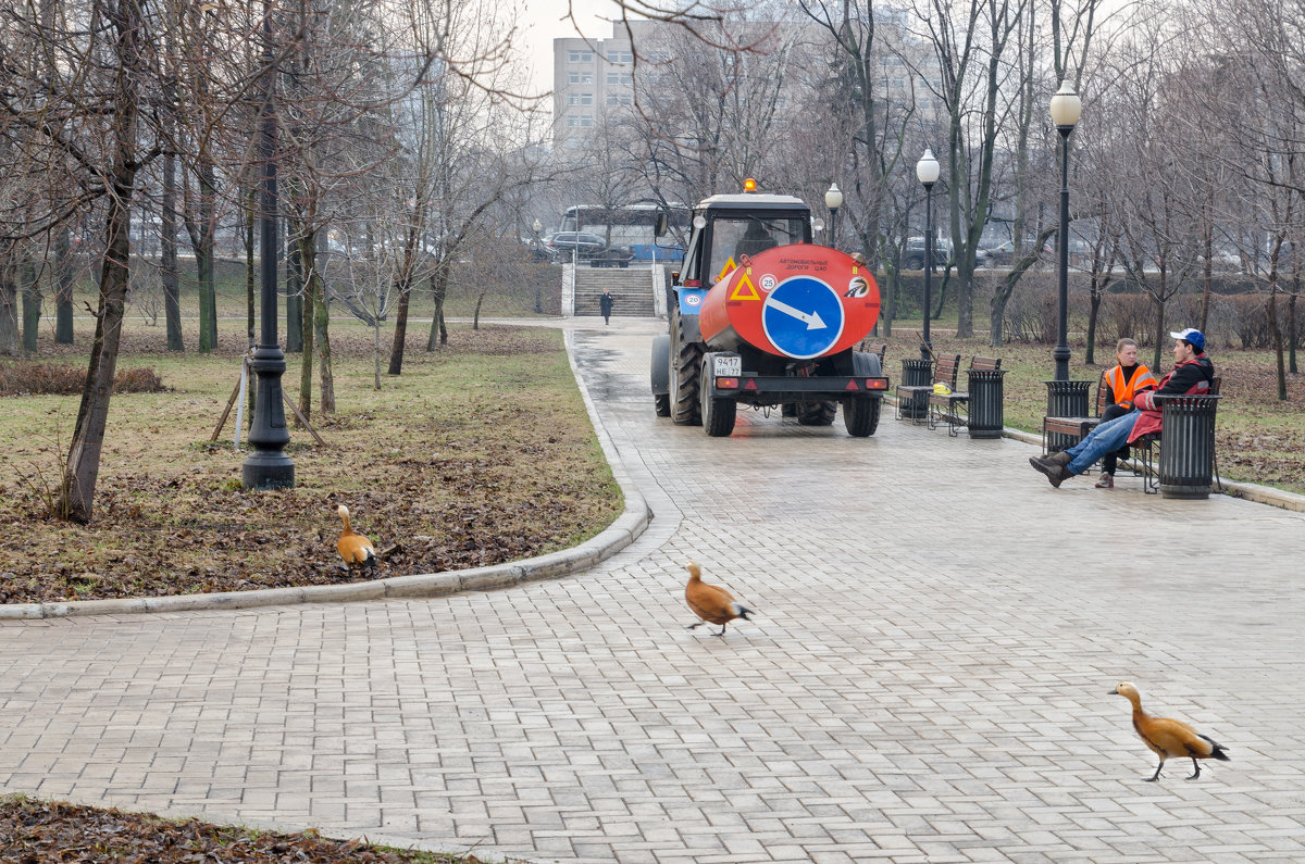 Субботник - Ирина Шарапова