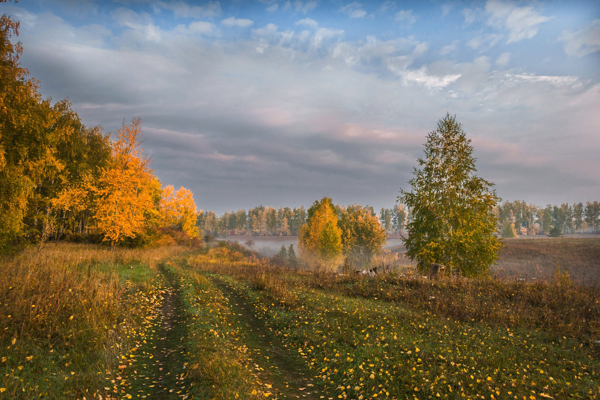 == - Александр Тулупов