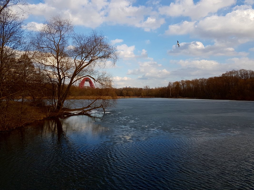 Начало апреля. Приходят дни света и синей прозрачной воды. - Ольга Русанова (olg-rusanowa2010)