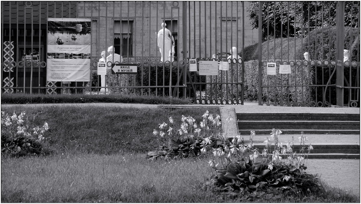 "вход платный" - sv.kaschuk 