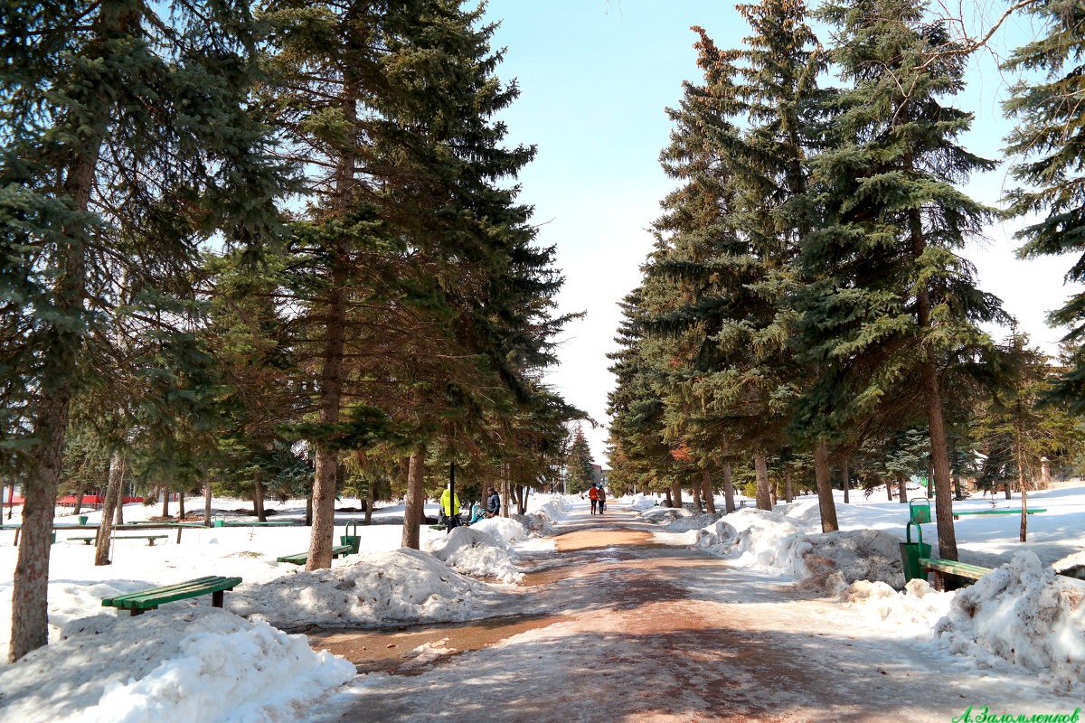 В весеннем парке - Андрей Заломленков