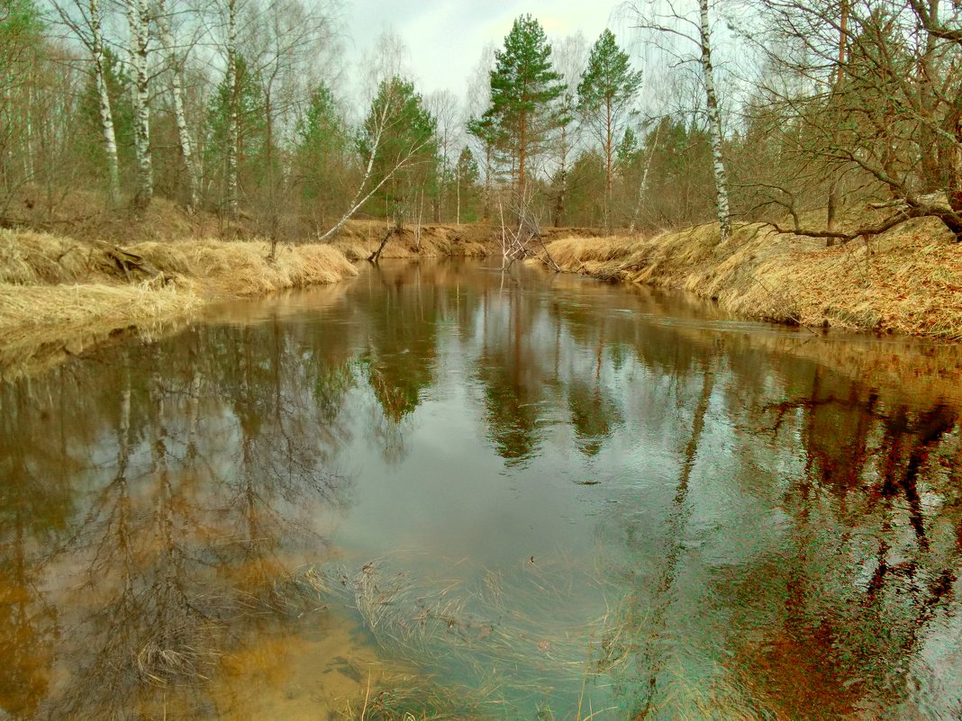 Вода прибывает - Николай Масляев