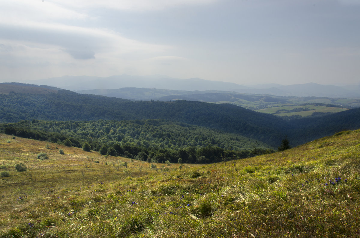 Я піду в далекі гори - Віктор .