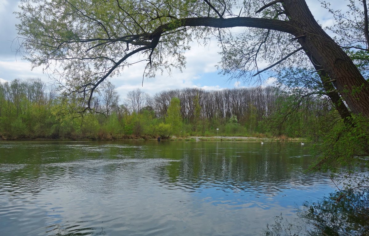Весна на реке... - Galina Dzubina