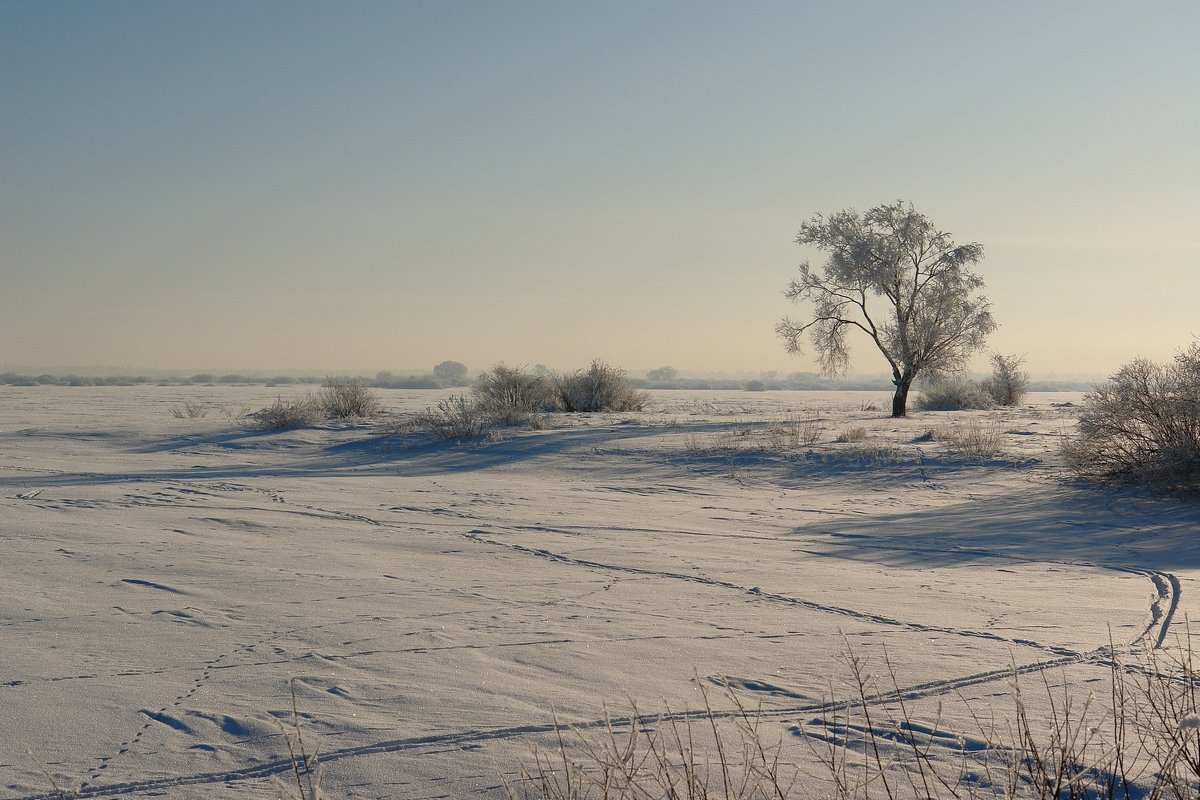 Зимний пейзаж - Sergey 
