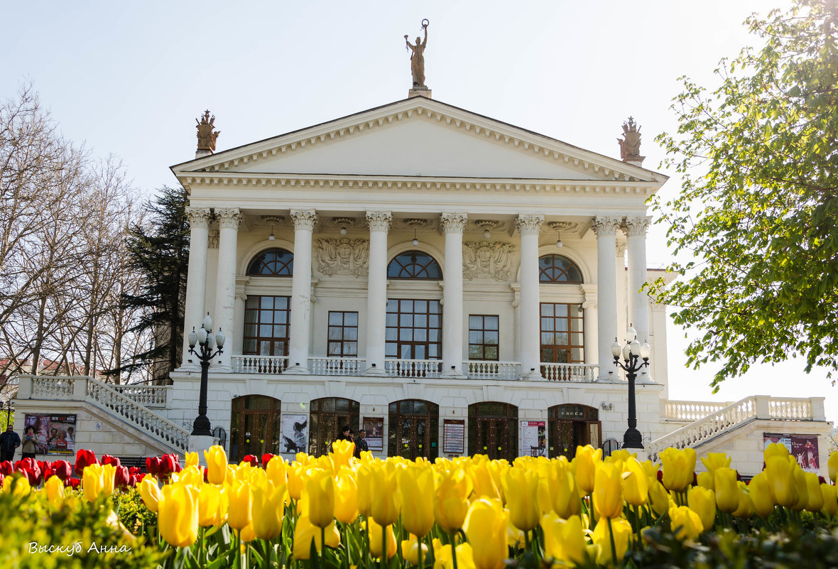 Тюльпановая весна в Севастополе - Анна Выскуб