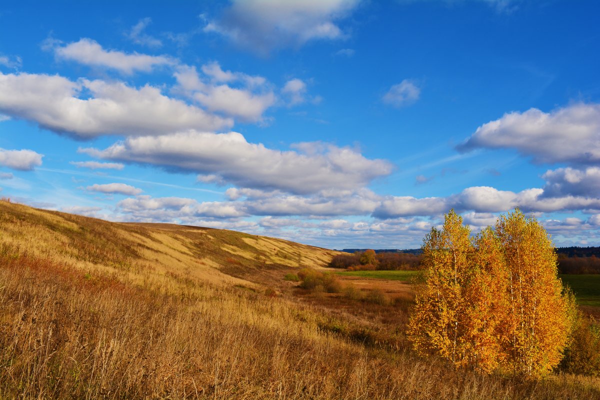 . - александр ратов